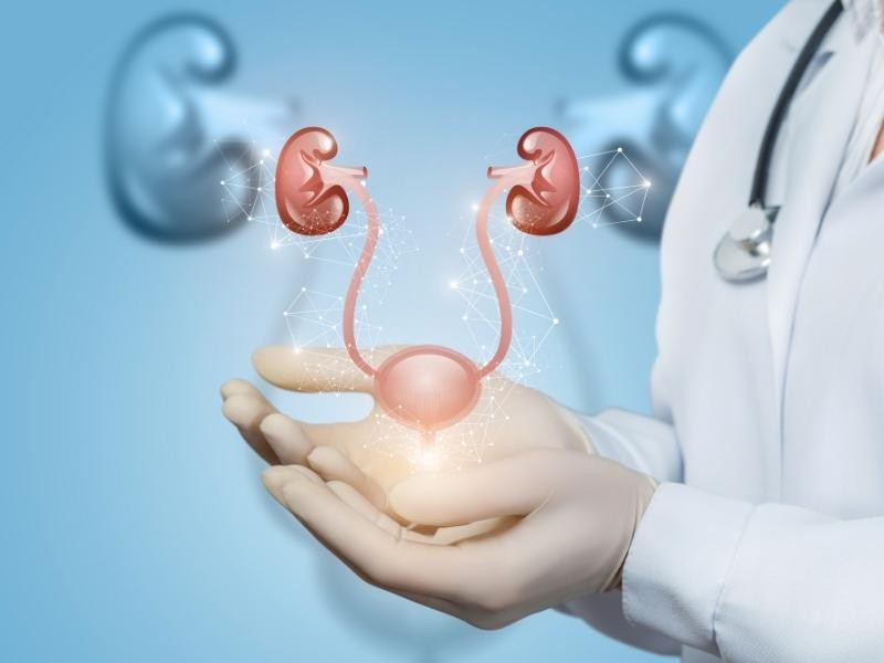 Infecção Urinária de Repetição no Filho? O Refluxo Vesicoureteral Pode Ser a Causa e Tem Solução