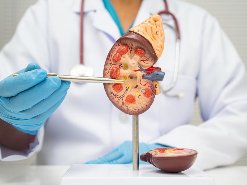 Serviços Urológicos Complementares